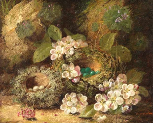 Esikoita ja lintujen pesiä sammaleella, 1882